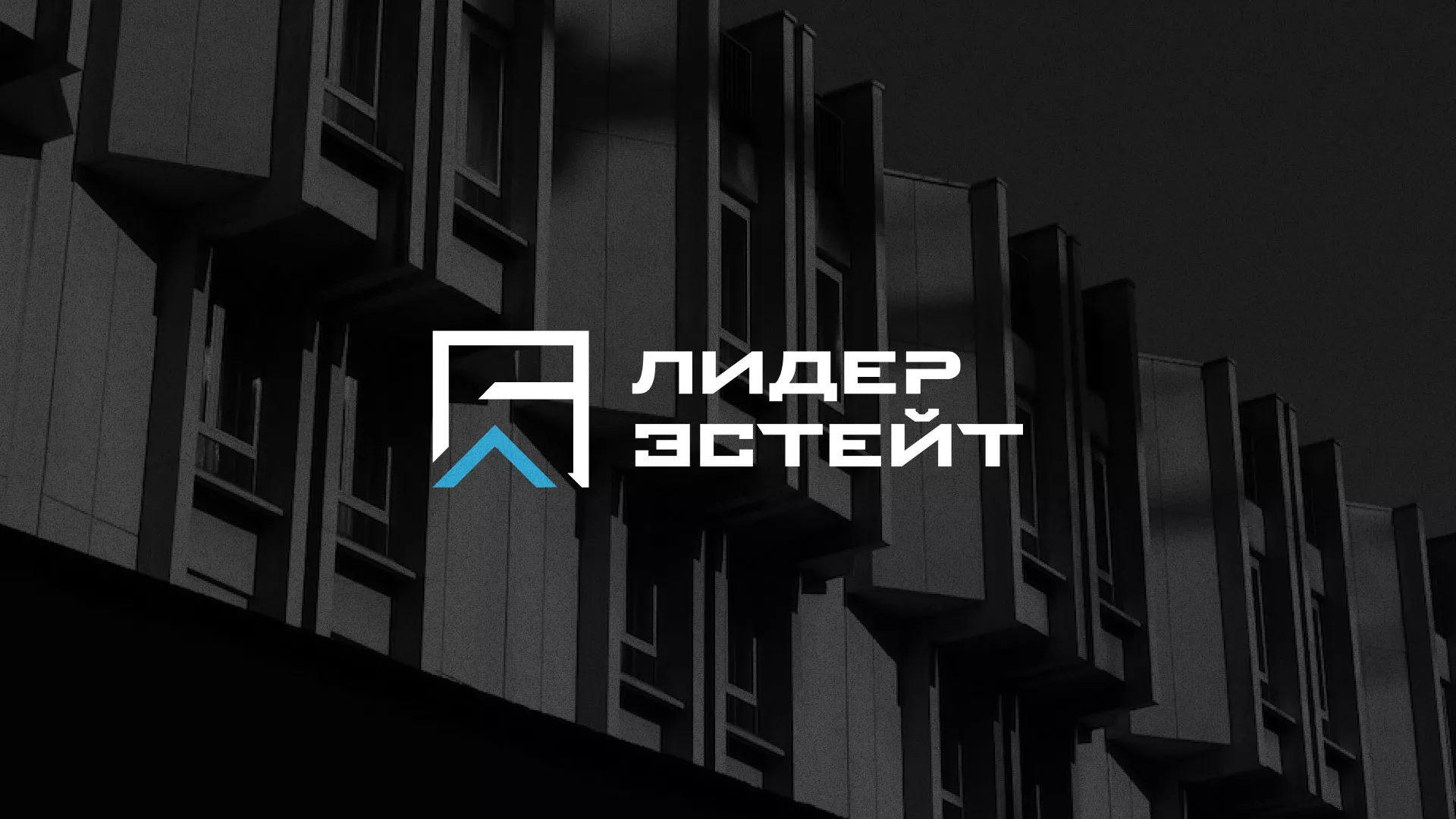Разработка логотипа агентства недвижимости «Лидер Эстейт» в Константиновске